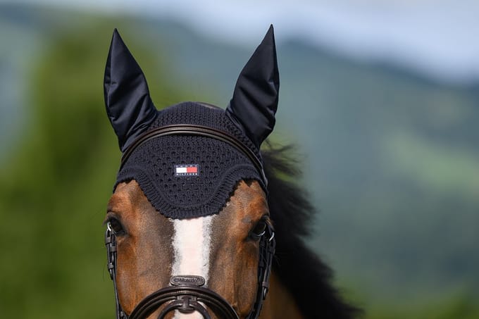 Tommy Hilfiger Equestrian Oornetje Tommy Hilfiger Lexington Donkerblauw