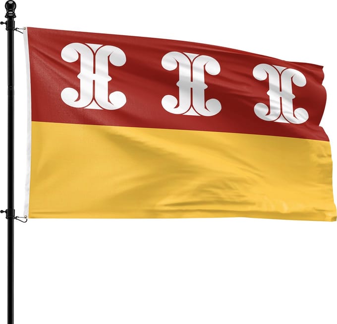 VlagDirect - Wijk bij Duurstede vlag - Gemeente Wijk bij Duurstede vlag - 90 x 150 cm.