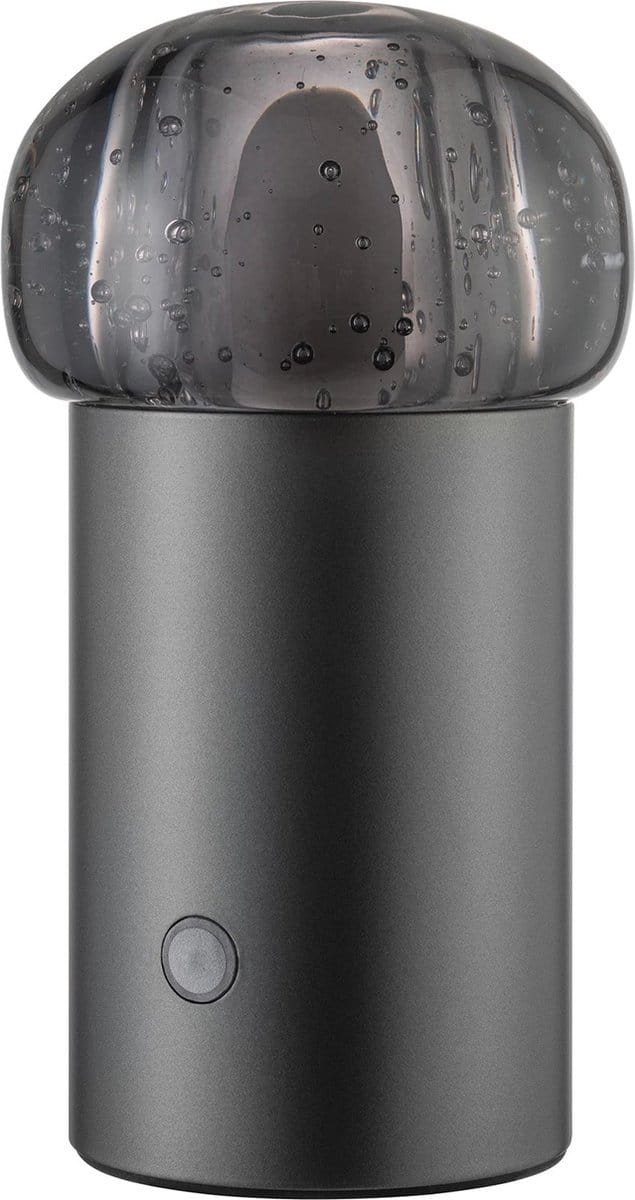 Blomus - IRIS - Mobiele Led Lamp - Metalic