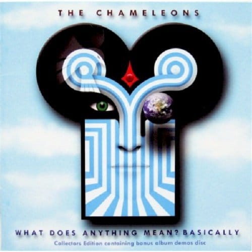 What Does Anything Mean (Collectors Edition)
