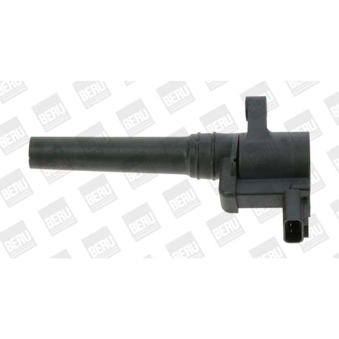 Bobine BORG WARNER (BERU) ZS388