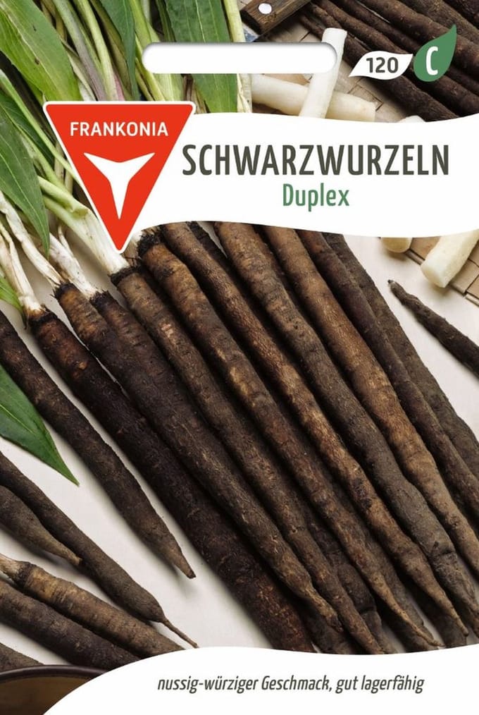 Zwarte schorseneer, Duplex - Groentezaden, zaden
