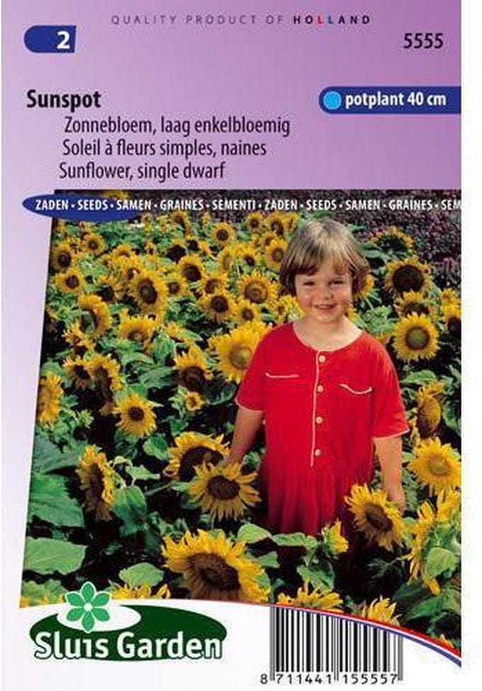 Sluis Garden - Zonnebloem Sunspot, laag (Helianthus)