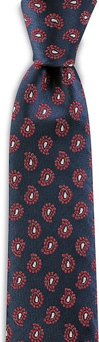 We Love Ties - Stropdassen - Stropdas Mister Paisley - blauw / rood / wit