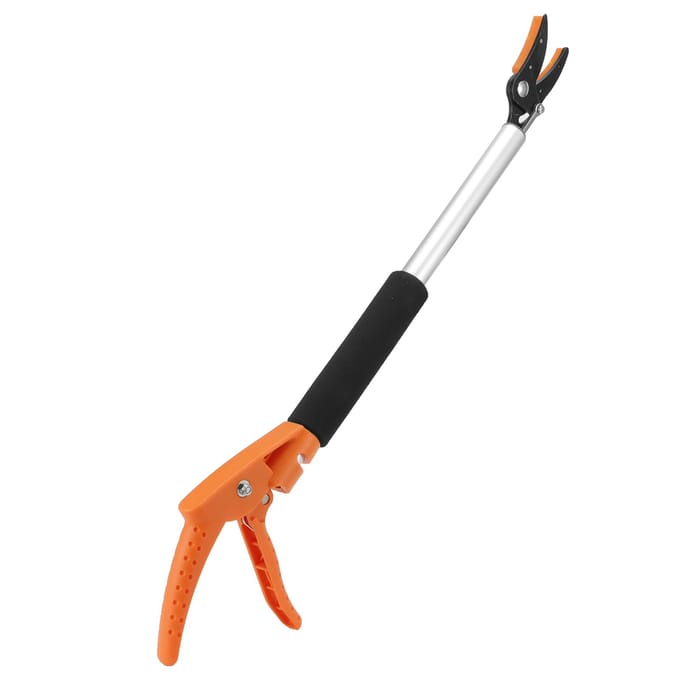 Fruitplukker Schaar Knipper voor Druiven Perzik Tak Snoeischaar Tuinaccessoire black