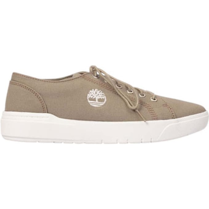 Lage Sneakers Timberland Baskets Seneca Bay gris