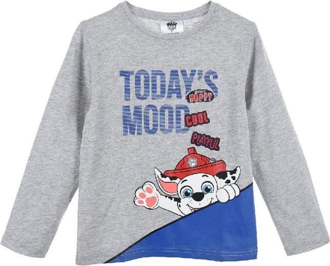 Longsleeve shirt PAW Patrol - Marshall - jongens - maat 110