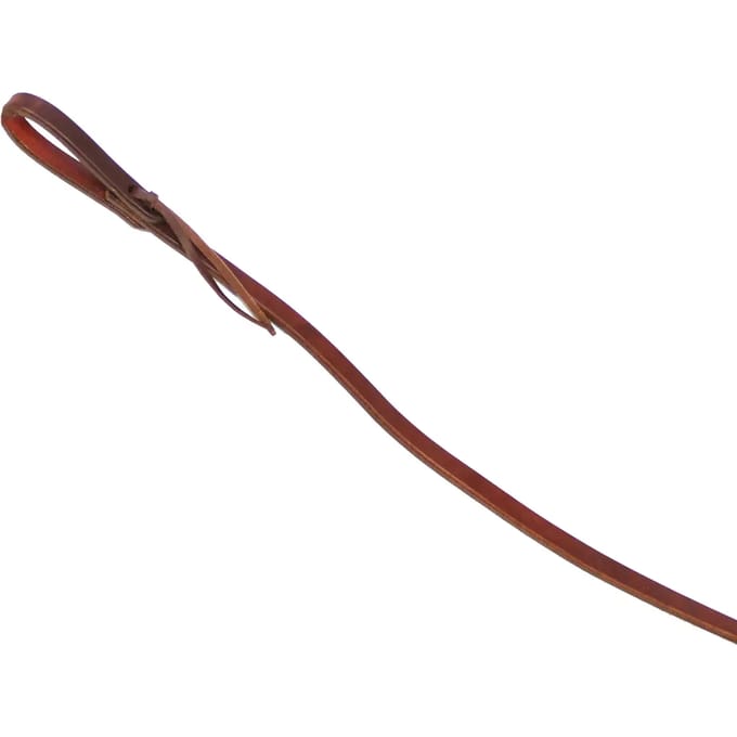 Teugels voor paarden in Amerikaans leder Brad Ren's 5/8"