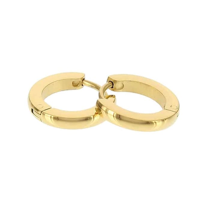 Kalli edelstalen Oorbel 1829 Goud 12mm