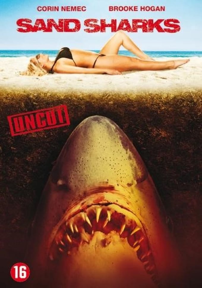 Sand Sharks
