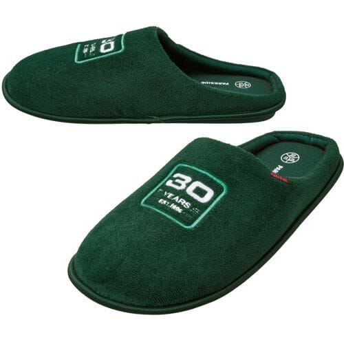 PARKSIDE Heren pantoffels, Fan Edition (groen, 40/41)