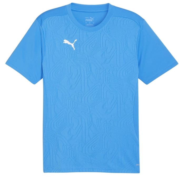 Puma Heren TeamFinal Training T-shirt (Blauw/zilver)