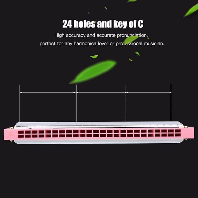 Mondharmonica - Speelgoed Harmonica - Muziek Leren - 24 Gaten C Toets - 18cm Lengte - Roze