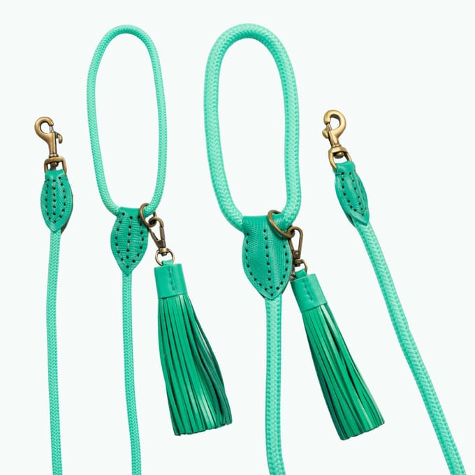 Classic Lagoon Hondenriem S (155 X 1 cm)