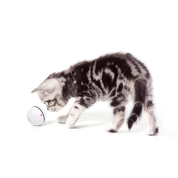 Elektrische interactieve kattenspeelgoedbal rollende bal voor kittenkattenoefening rood