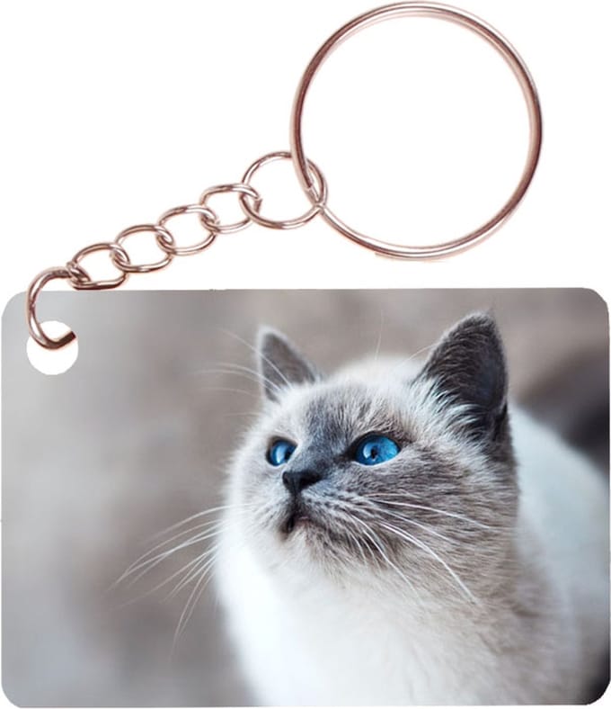 Sleutelhanger 6x4cm - Poes Licht met Blauwe Ogen
