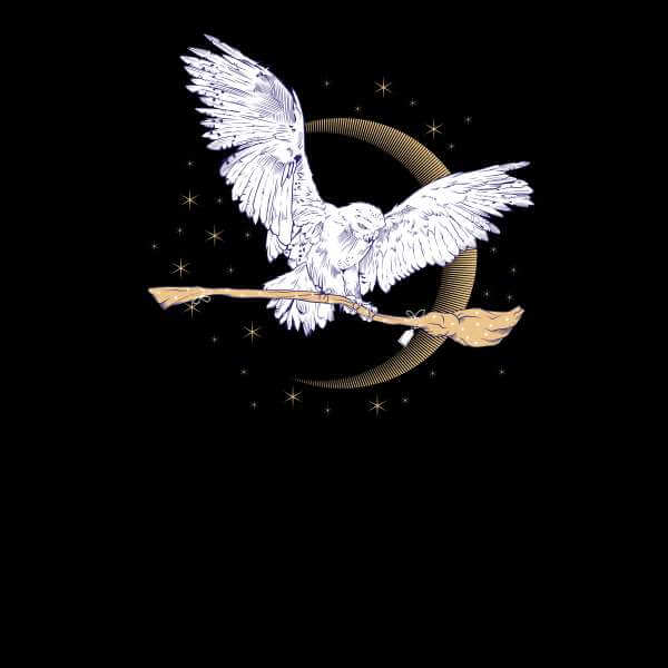 Harry Potter Hedwig Broom trui - Zwart - M