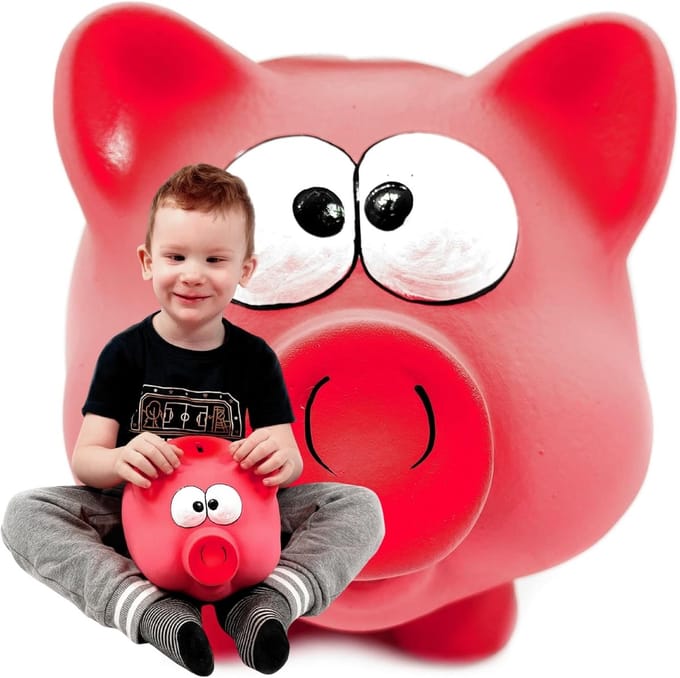 Groot Spaarvarken - Spaarpot Keramiek - Langdurig Besparen - Met de hand beschilderd - 28 x 21 cm - Roze