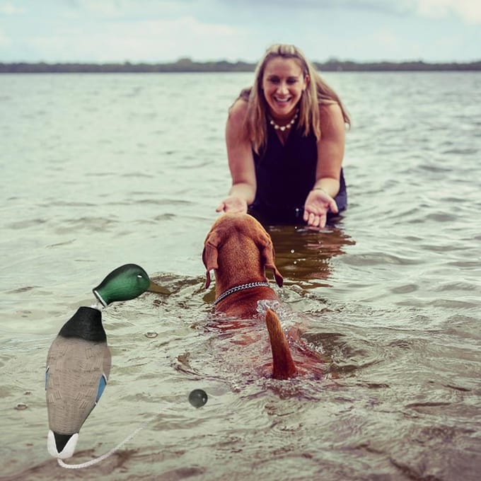 Imiteert Dode Eend Bumper Speelgoed Voor Training Puppy's Jachthonden Leert Wilde Eend Watervogel Wild Ophalen Hondentrainingsspeelgoed black