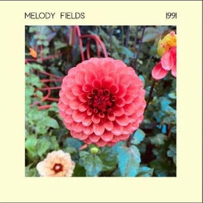 1991