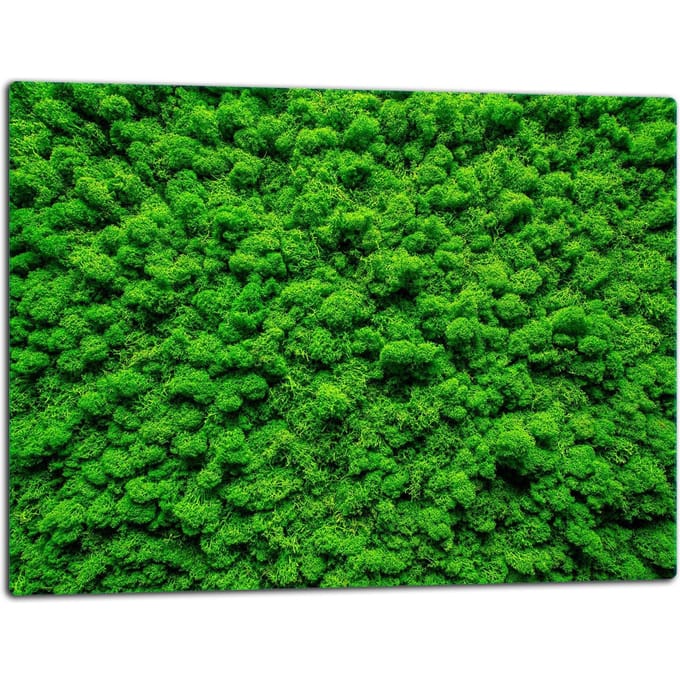 TMK ArtDeko - Snijplank - Glas - 52x40 cm - Groen