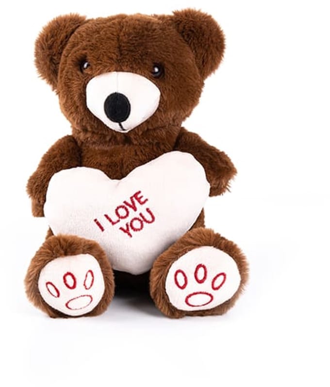 Pluche Beer 24cm - Teddybeer 25cm - Knuffelbeer-Beer - Love u - Hart