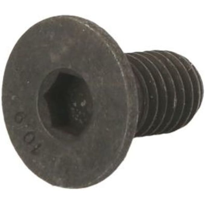 Schroef, remschijf DELPHI BGK008