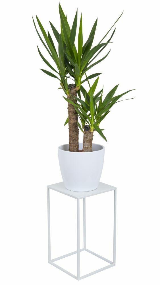 HowHomely Serie - Moderne Staande Plantenbak - Wit - Loftstijl - 40cm