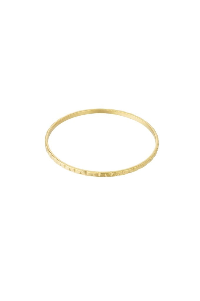 Glanzende armband - Verkleurt niet - Cadeau - Goudlief.nl