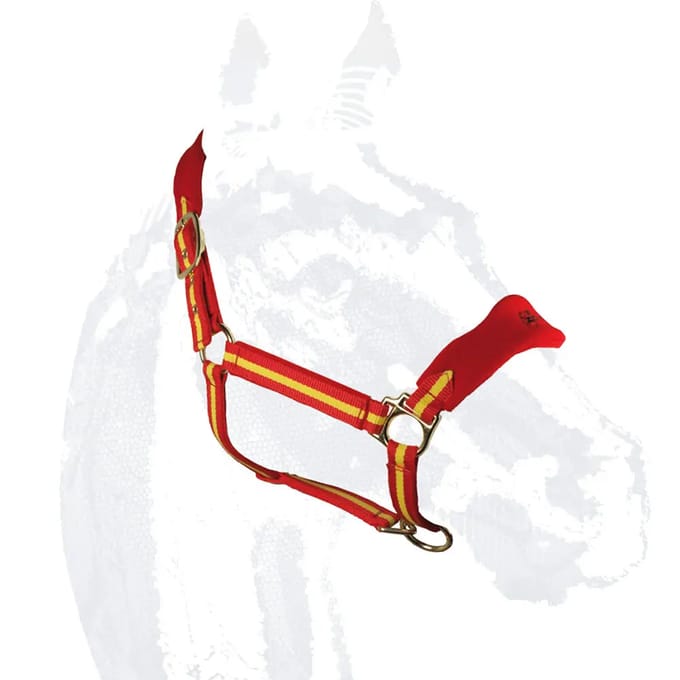 Halster voor paarden Zaldi Deluxe