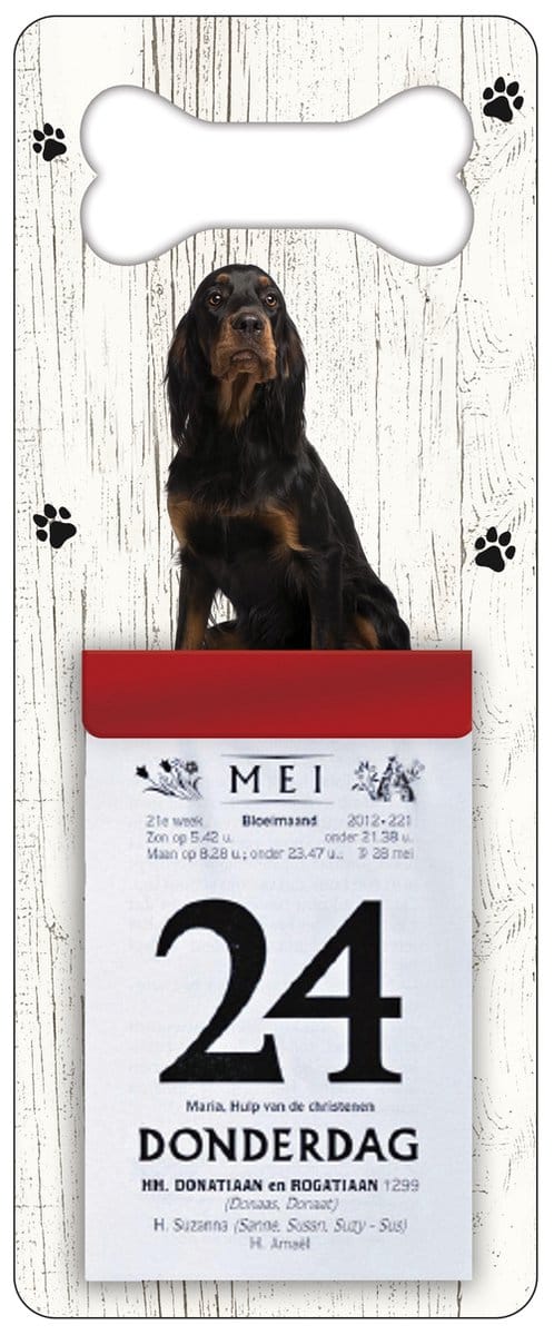 Scheurkalender 2027 Hond: Gordon Setter