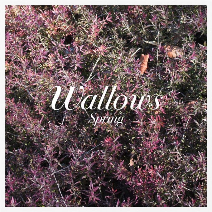 Spring - Wallows
