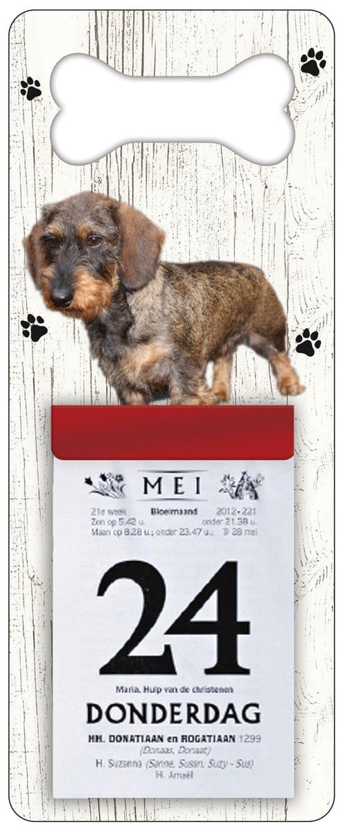 Scheurkalender 2027 Hond: Ruwharige tekkel