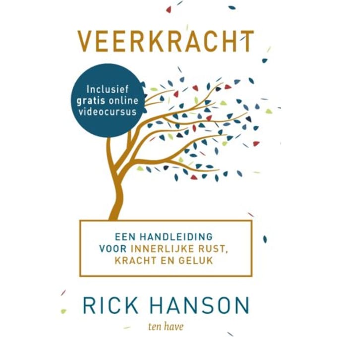 Veerkracht - Rick Hanson