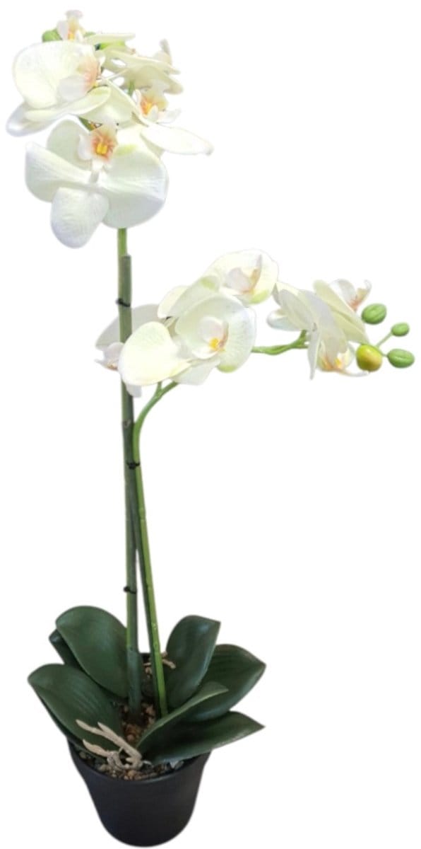 Mica Decorations Kunstplant Phalaenopsis Orchidee geel groen H67 x D25cm