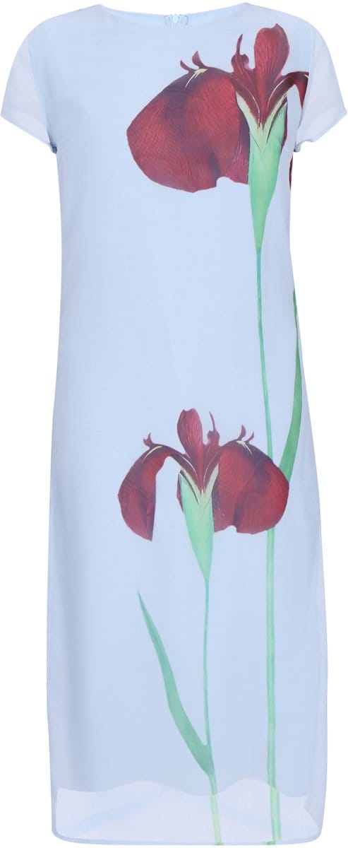 usha Dress