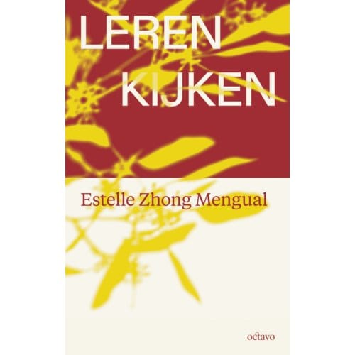 Leren Kijken - Estelle Zhong Mengual