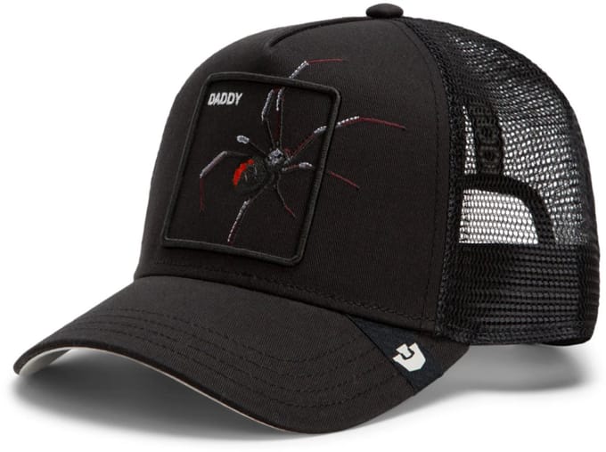Goorin Bros. Over The Line Spider Trucker cap - Void