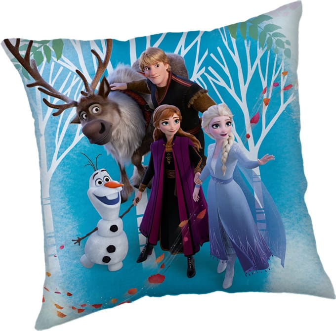 Disney Frozen Sierkussen Family - 40 x 40 cm - Polyester