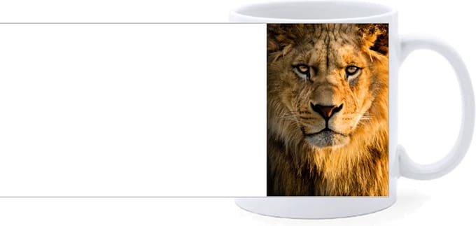 Beker - Leeuw - Hoofd