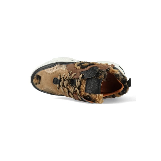 Dames Sneakers Dwrs Pluto Teddy Leopard Black/cogn Zwart - Maat 37