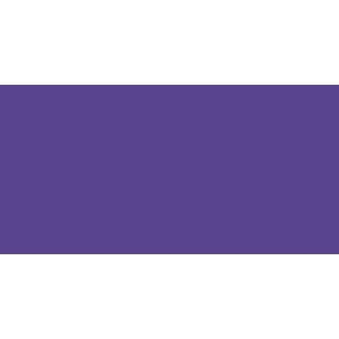 Expert Series Acrylverf Pot 400 ml - Permanentroodviolet Dekkend 590