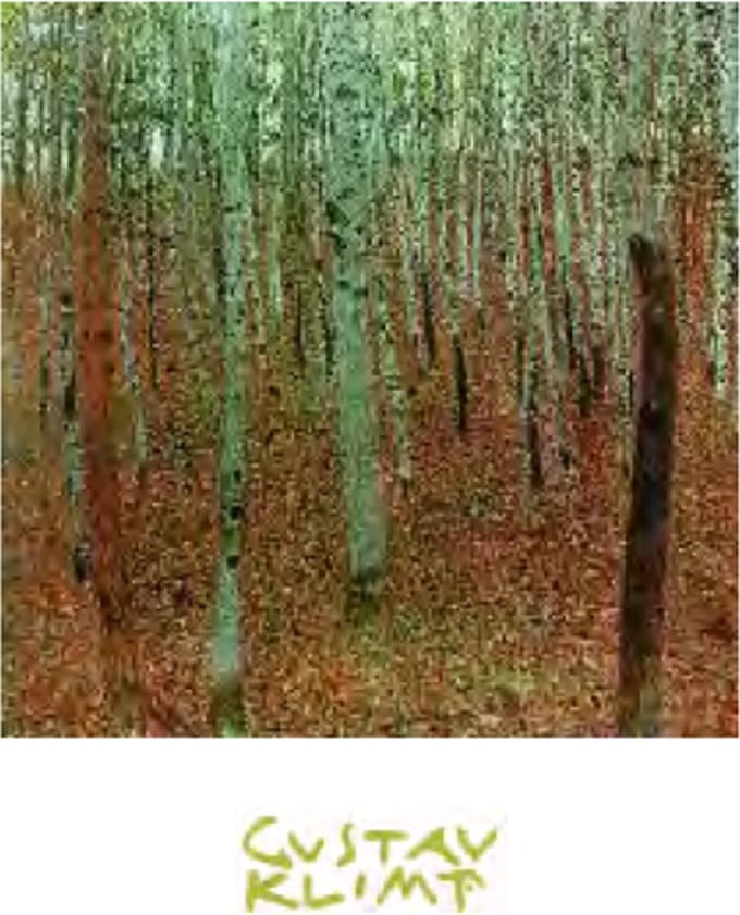 Gustav Klimt - Berkenbos - Kunstposter - 40x50 cm