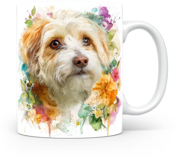Beker Dandie Dinmont Terriër