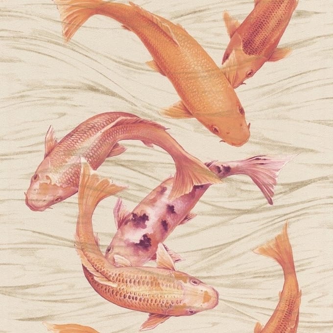 Koi karper behang 781007