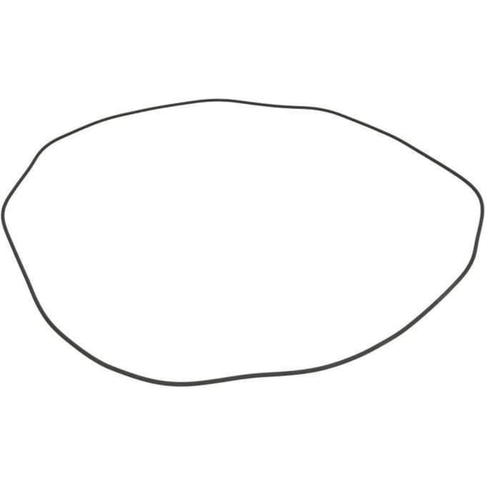 Versnellingsbak O-ring ZF 0634313840