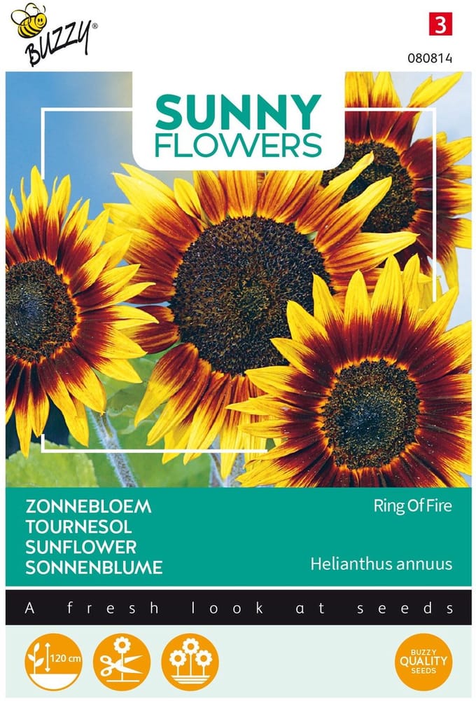 Buzzy® Sunny Flowers, Zonnebloem Ring of Fire