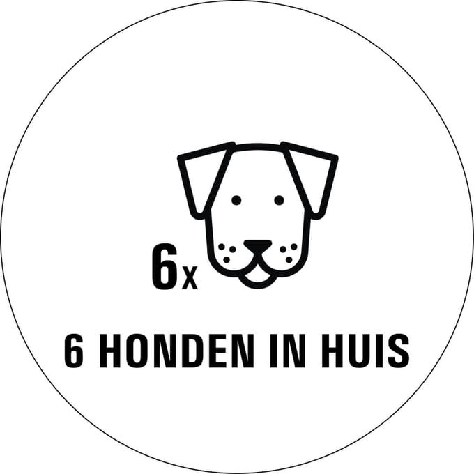 Honden in huis sticker - 80 x 80 mm 6