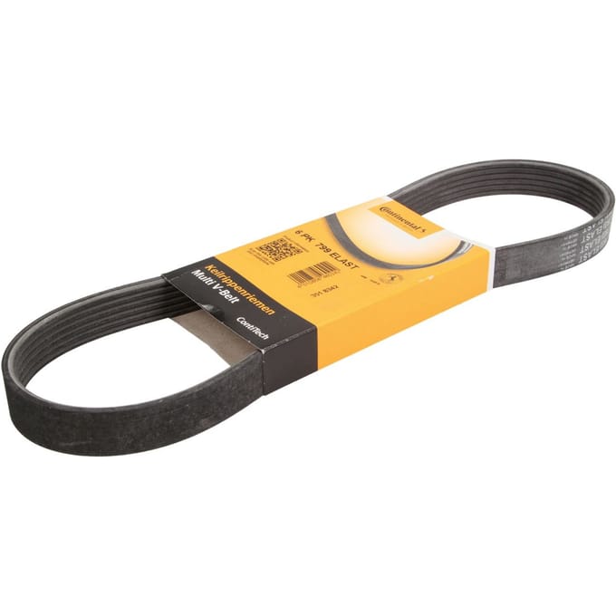 Continental Ctam V-riem CONTINENTAL 6PK799 ELAST