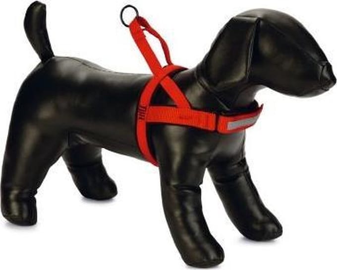 Beeztees Parinca Comfort Hondentuig Nylon - Rood 32-42 cm x 20 mm